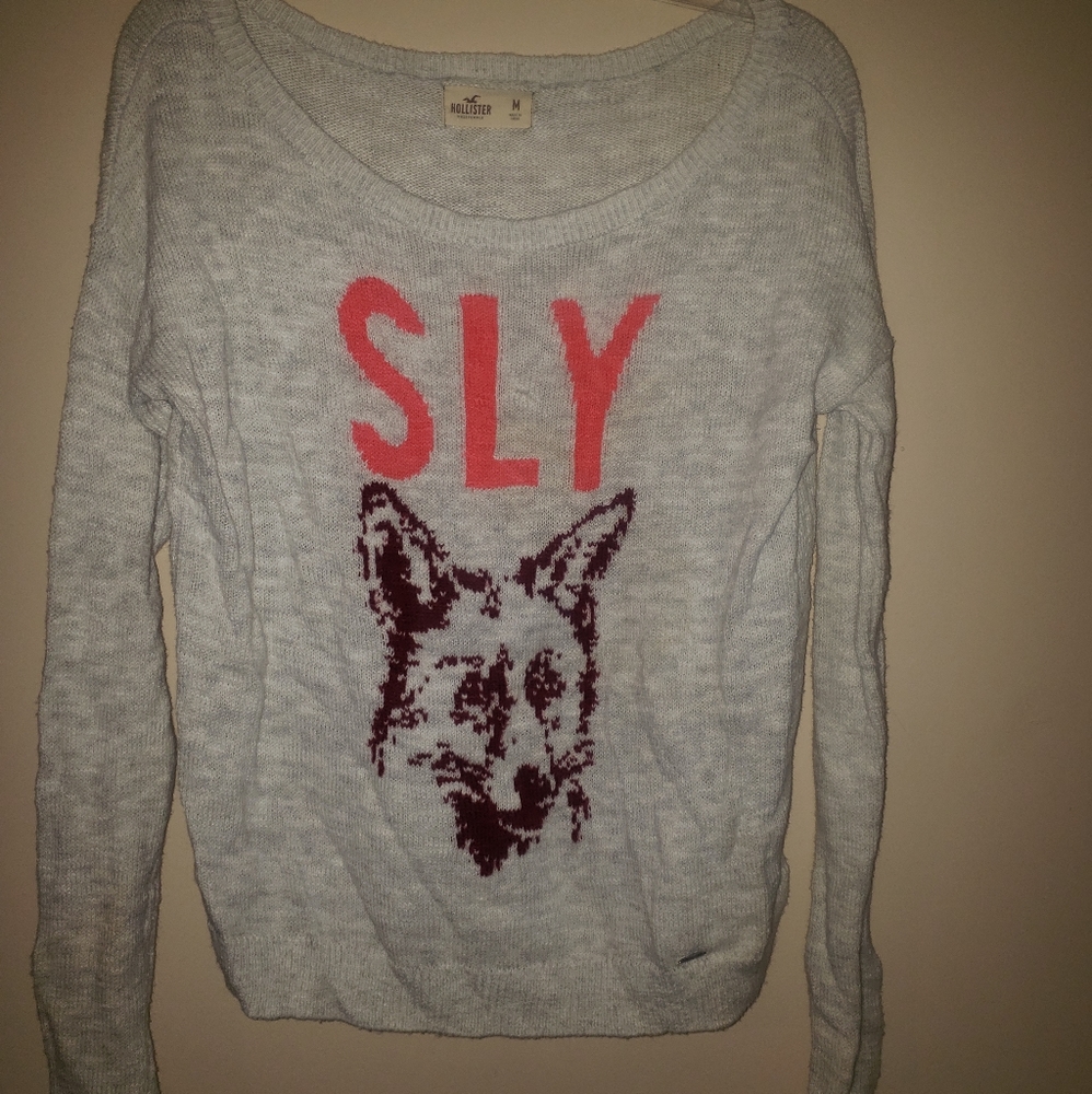 Hollister sweater